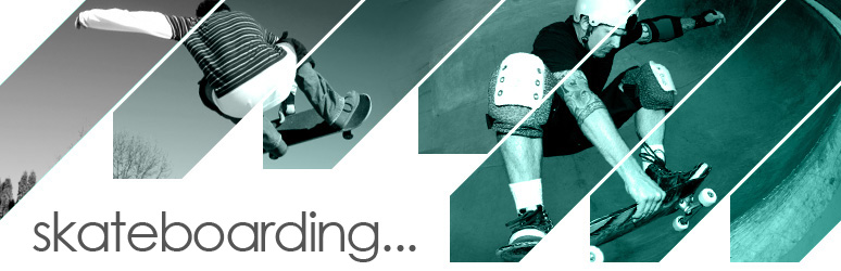 DVD - Skateboard Videos